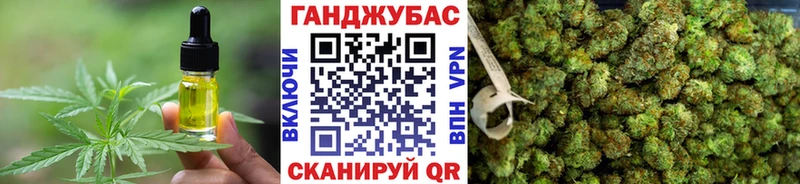 купить наркотик  OMG как войти  Cannafood конопля  Краснознаменск 
