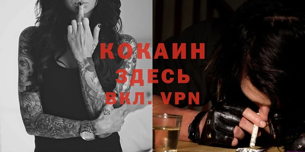 скорость Богданович