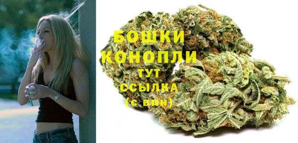 твердый Сатка