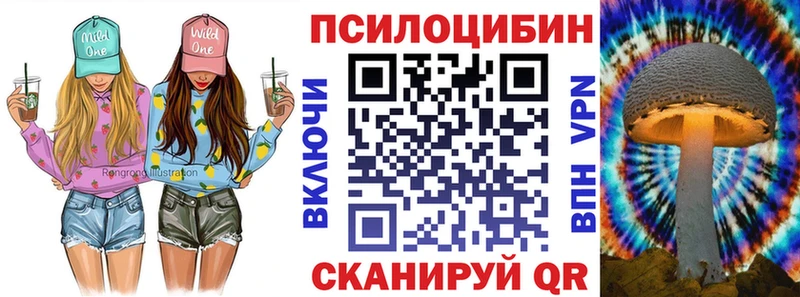 Галлюциногенные грибы Cubensis  Краснознаменск 